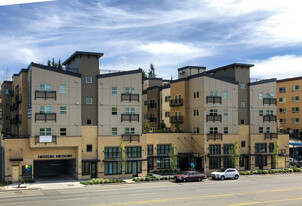 The Savoy at Lake City 55+ Senior Community Apartments