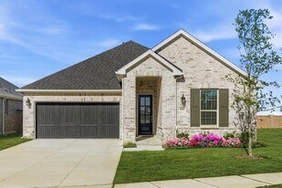 2020 Beeflower St in Celina, TX - Building Photo