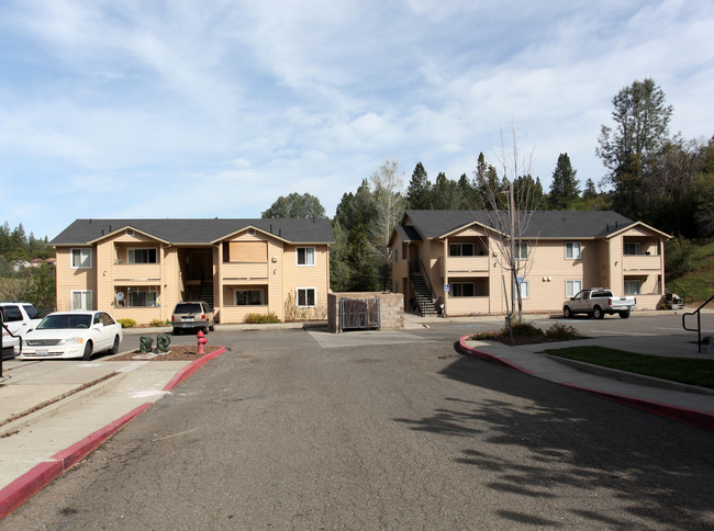 Cottonwood Park Apartments in Placerville, CA - Building Photo - Building Photo