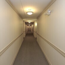 811 Chicago Ave in Evanston, IL - Building Photo - Building Photo