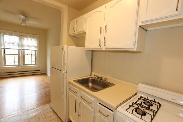 629.5 W Barry Ave in Chicago, IL - Building Photo - Building Photo