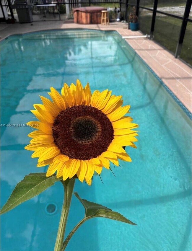 30255 SW 197th Ave in Homestead, FL - Building Photo - Building Photo