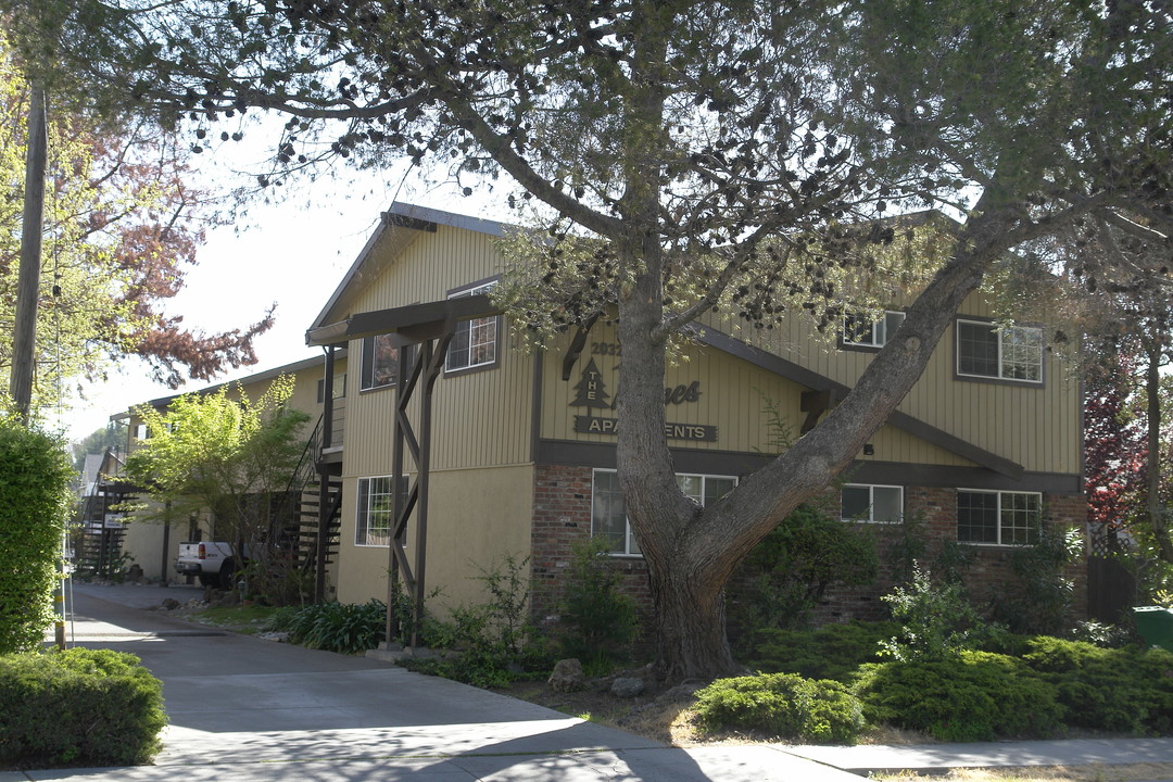 The Pines Apartments in Castro Valley, CA - Foto de edificio