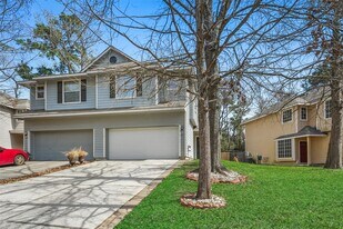 157 Summerhaze Cir in Spring, TX - Building Photo