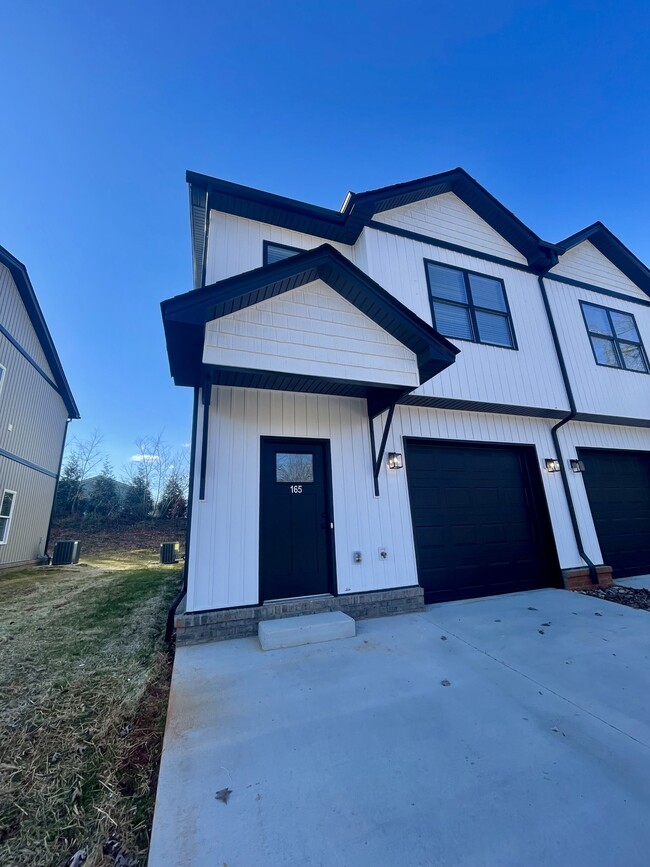 property at 165 Independence Ln