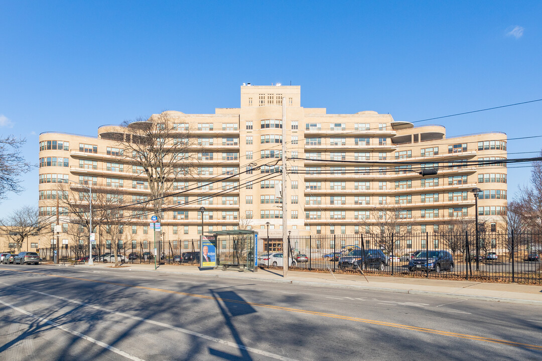 The T Building in Jamaica, NY - Building Photo