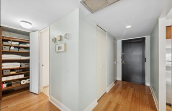 260 E Chestnut St in Chicago, IL - Building Photo - Building Photo