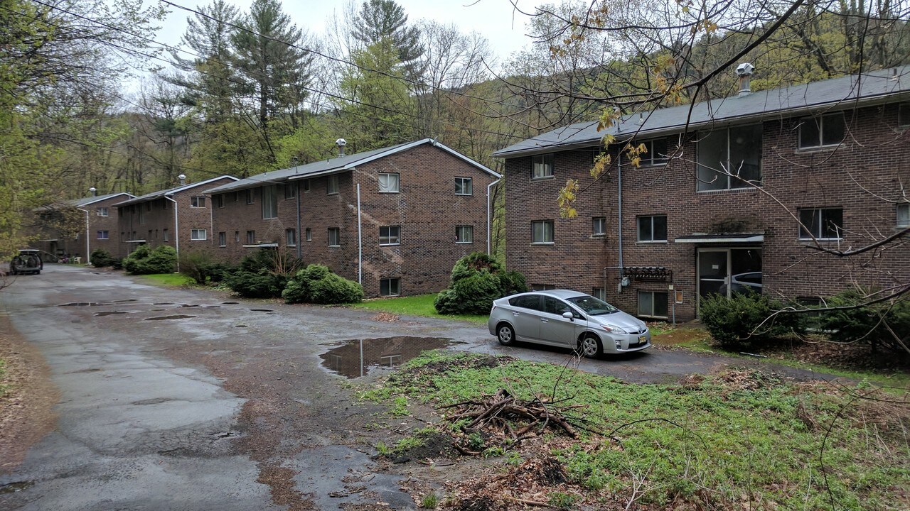 30 Bear Mountain Dr in Hancock, NY - Foto de edificio