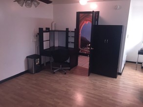 Pilsen Apartments in Chicago, IL - Foto de edificio - Interior Photo