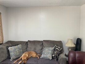 820 Matthews St in Bristol, CT - Building Photo