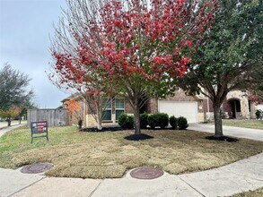 3334 Windsor Ranch Ln in Katy, TX - Building Photo - Building Photo