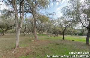 10808 Dedeke Dr in New Braunfels, TX - Building Photo - Building Photo