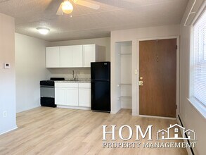 107 E Liberty St, Unit 3 in Mankato, MN - Foto de edificio - Building Photo