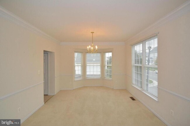 42555 Pelican Dr in South Riding, VA - Building Photo - Building Photo