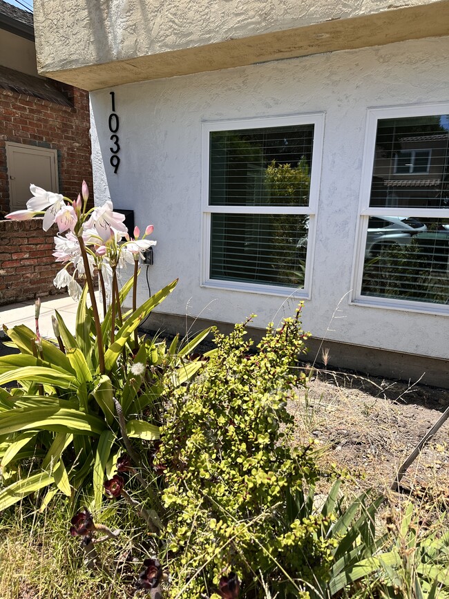 1039 Mound St in Alameda, CA - Building Photo - Building Photo