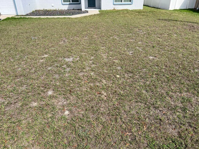 8355 SE 159th Ln in Summerfield, FL - Building Photo - Building Photo