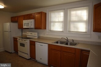 513 Decatur Ave in Salisbury, MD - Building Photo - Building Photo