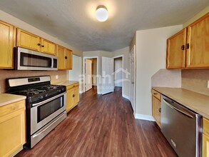14231 Bonham Oaks Ln in Houston, TX - Building Photo - Building Photo