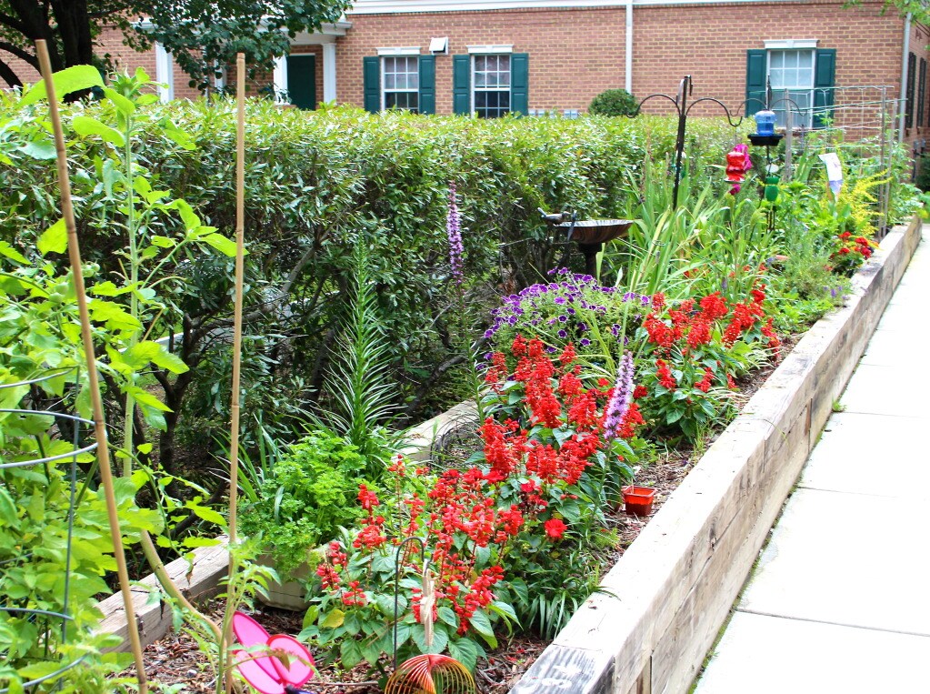 Lynnhaven Cove Senior Apartments Virginia Beach, VA Apartments