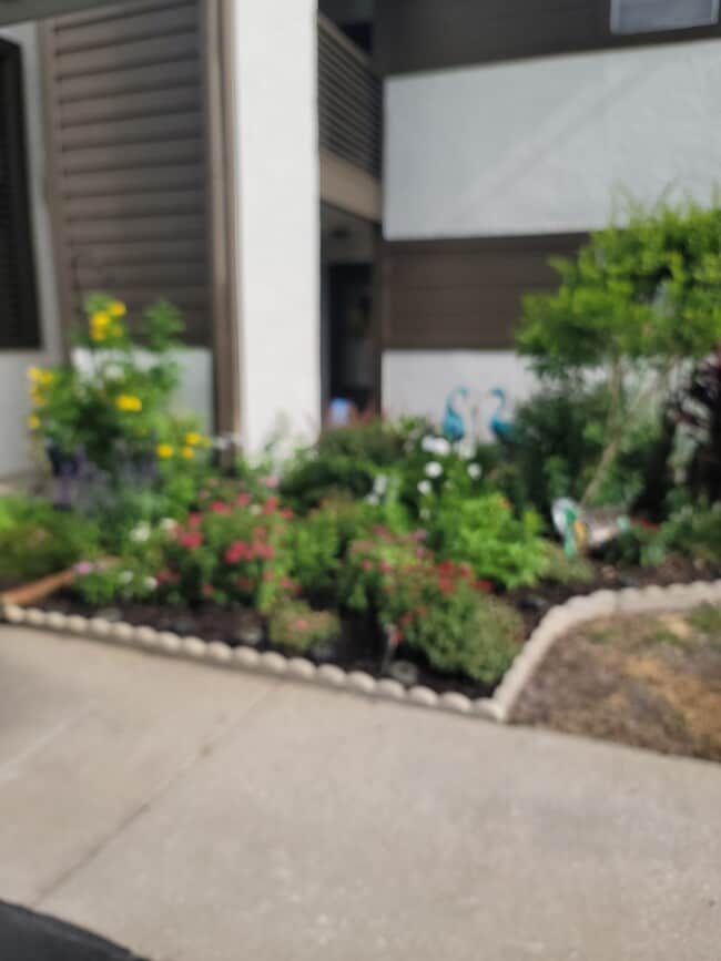 4026 Passport Ln, Unit WOODTRAIL CONDOS in New Port Richey, FL - Building Photo - Building Photo