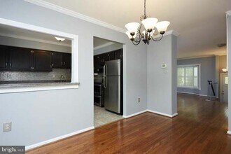6157 Green Hollow Ct in West Springfield, VA - Building Photo - Building Photo