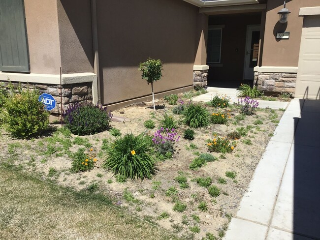 99 Rogue Rd in Dayton, NV - Building Photo - Building Photo