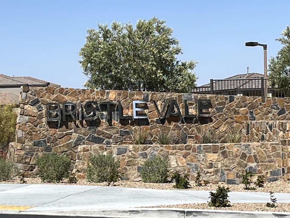 396 Purple Sandpiper St in Las Vegas, NV - Building Photo