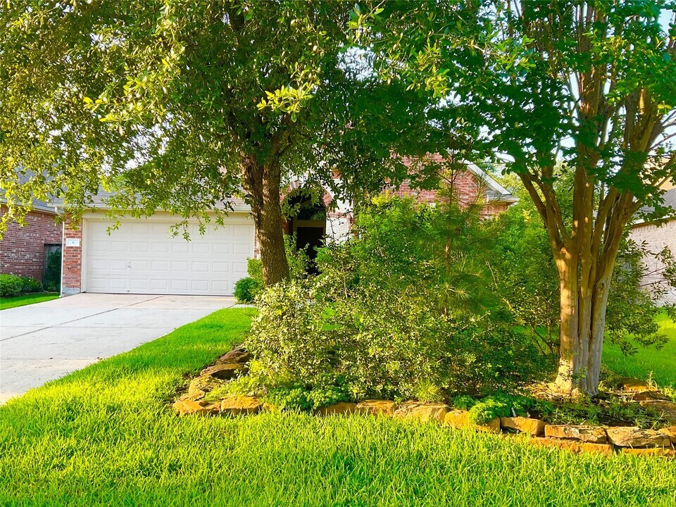 6 Dragon Hill Pl in Spring, TX - Foto de edificio