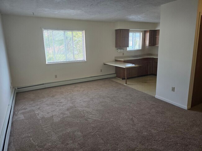 142 Spruce St, Unit 142 Spruce St Apts in Athens, PA - Building Photo - Building Photo