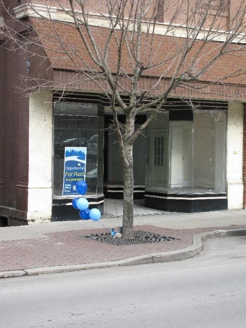 424 Fallowfield Ave in Charleroi, PA - Building Photo - Building Photo