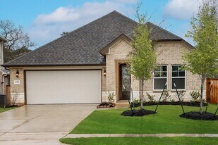 2375 Woodland Prairie Ln in Shenandoah, TX - Building Photo