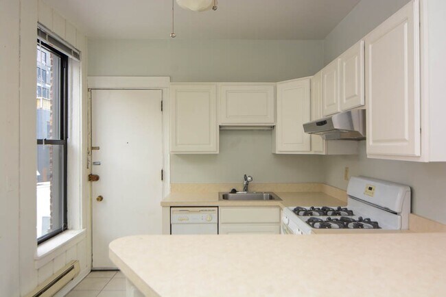 1219 N Dearborn in Chicago, IL - Building Photo - Building Photo