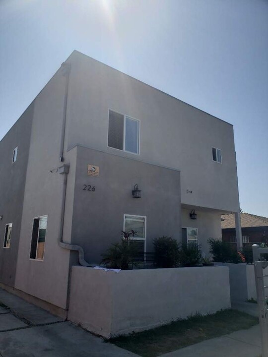 224 E 87th St in Los Angeles, CA - Building Photo