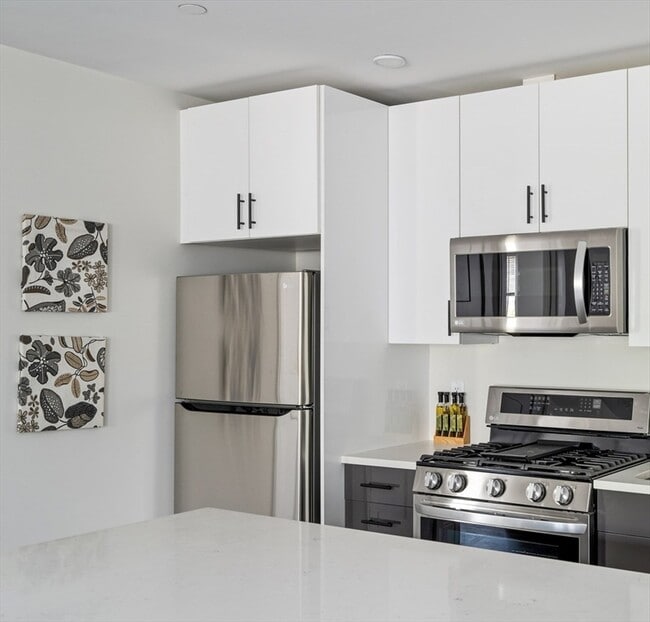 50 Stedman St in Boston, MA - Building Photo - Building Photo