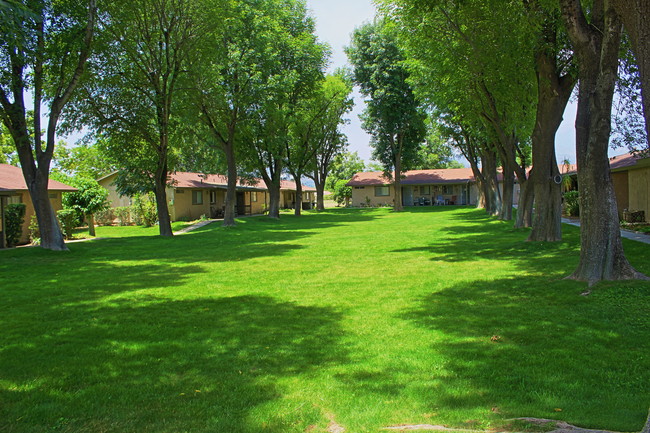 Beaumont Park Apartments in Beaumont, CA - Building Photo - Building Photo