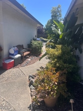 2031 Willester Ave in San Jose, CA - Building Photo - Building Photo