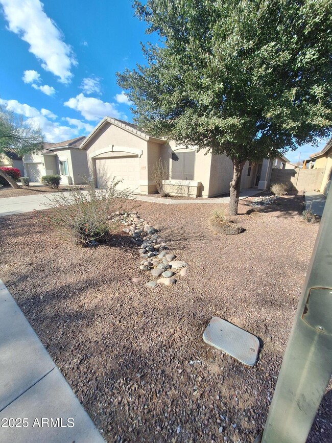 12542 W Bird Ln in Litchfield Park, AZ - Building Photo - Building Photo