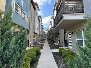 4910 Live Oak St in Dallas, TX - Building Photo - Building Photo