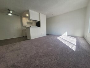 3731 Canfield Ave in Los Angeles, CA - Foto de edificio - Building Photo