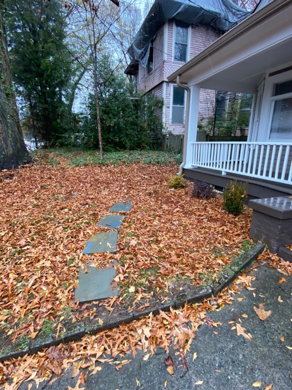 438 Cherokee Ave SE in Atlanta, GA - Foto de edificio - Building Photo