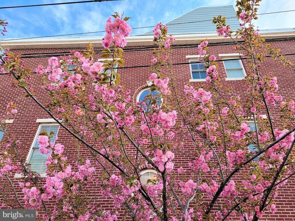 1000 Dorrance St in Philadelphia, PA - Building Photo