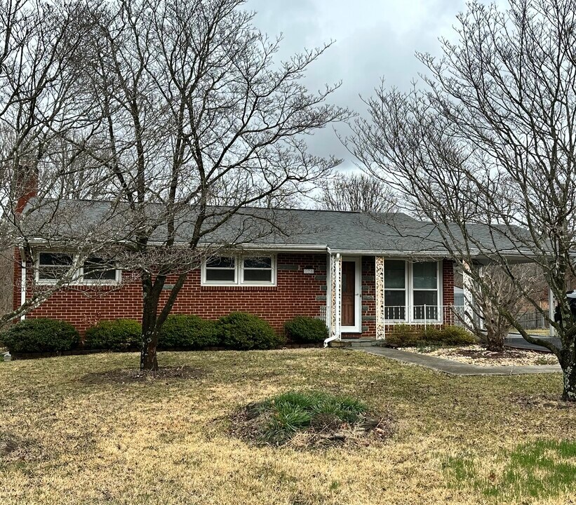 175 Woodland Dr in Madison Heights, VA - Building Photo
