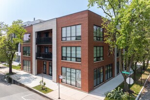 Pulaski Place in Chicago, IL - Building Photo