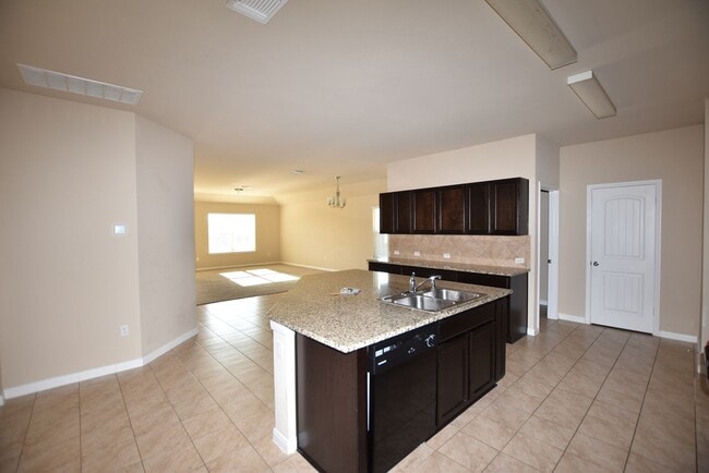 165 Dusky Thrush Dr in Kyle, TX - Building Photo - Building Photo