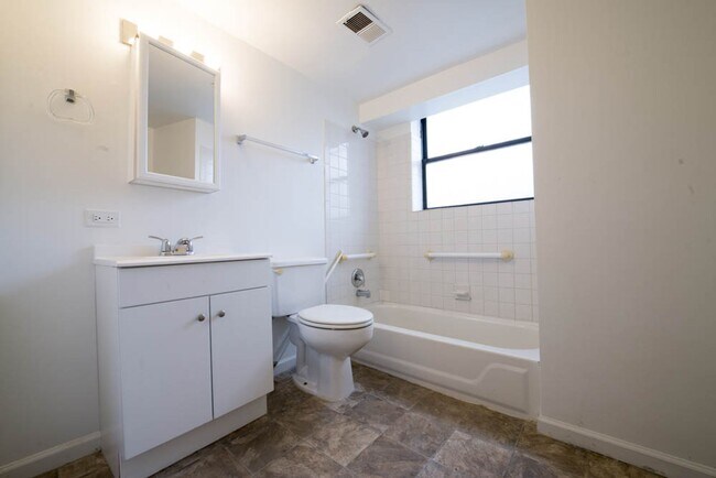 5300 S Michigan Ave Chicago, IL 60615 in Chicago, IL - Foto de edificio - Building Photo