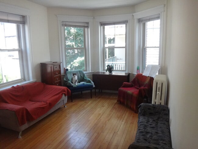 85 Trowbridge St, Unit 33 in Cambridge, MA - Foto de edificio - Building Photo