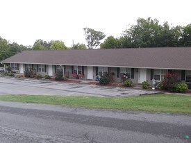 2328 Big River Overlook Dr in Sevierville, TN - Building Photo