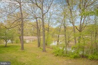 2 Banyan Wood Ct photo'