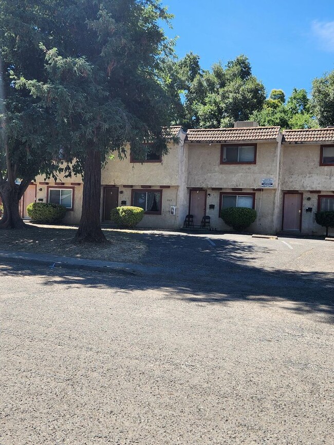 property at 1125 Delphinium St