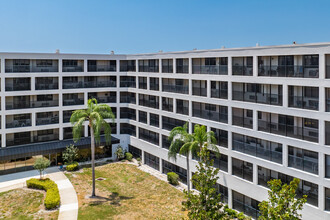 St. Mark Village in Palm Harbor, FL - Foto de edificio - Building Photo